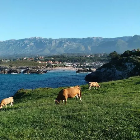 Atico En De Llanes. Appartement *